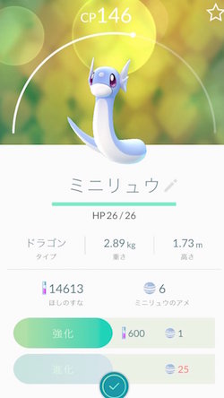 ミニリュウ
