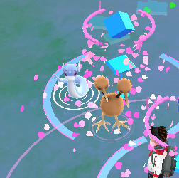 ポケソースってなんぞや!?